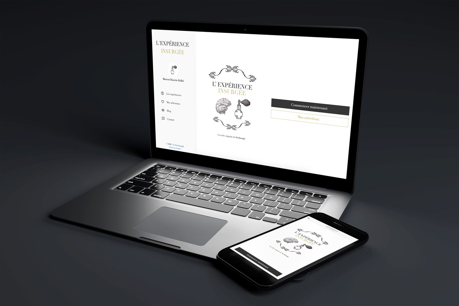 exemple de responsive design